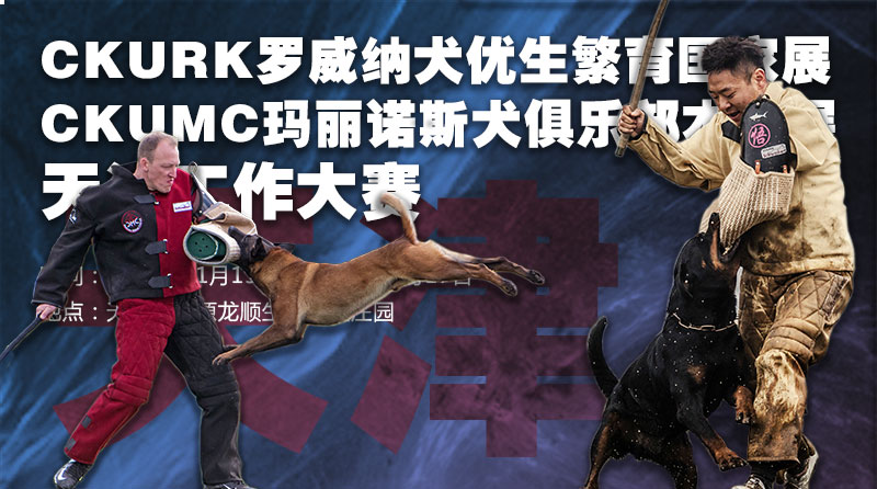 宠爱王国2019年CKURK-CKUMC联合工作大赛、CKURK优生繁育国家展（天津）<br/>天津地方繁殖展、首届CKURK地方俱乐部联赛