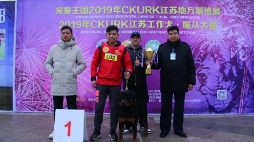 宠爱王国2019年CKURK江苏地方繁殖展（连云港）获奖犬只成绩展示