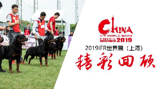 2019年IFR罗威纳犬世界展（中国·上海）精彩回顾