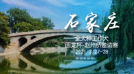 宠爱王国2021年CKU全犬种工作犬玉龙杯-赵州桥邀请赛报名