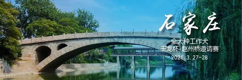 宠爱王国2021年CKU全犬种工作犬玉龙杯-赵州桥邀请赛报名