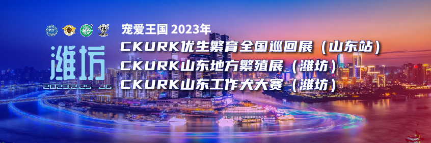 宠爱王国2023年CKURK优生繁育全国巡回展（山东站）、山东地方繁殖展（潍坊）、山东工作大赛报名通知
