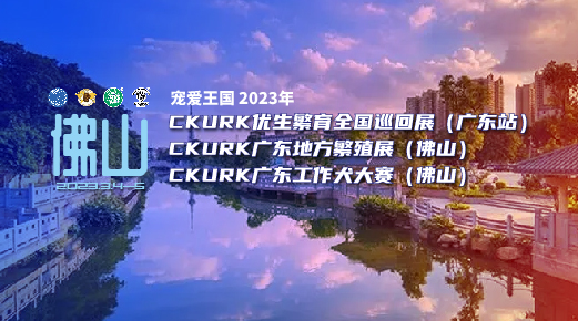 宠爱王国2023年CKURK优生繁育全国巡回展（广东站）、广东地方繁殖展（佛山）、广东工作大赛报名通知