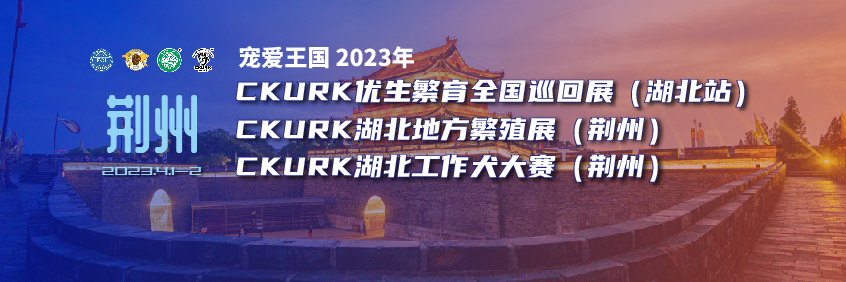 宠爱王国2023年CKURK优生繁育全国巡回展（湖北站）、湖北地方繁殖展（荆州）、湖北工作大赛