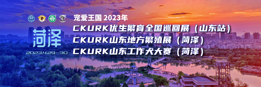 宠爱王国2023年CKURK优生繁育全国巡回展（山东站）、山东地方繁殖展（菏泽）、山东工作大赛