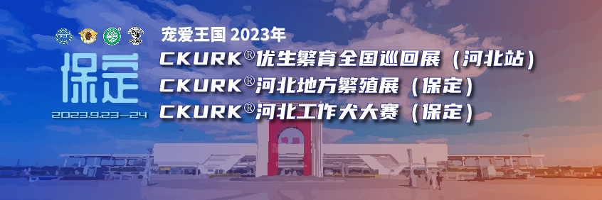 宠爱王国2023年CKURK®优生繁育全国巡回展（河北站）、河北地方繁殖展（保定）、河北工作犬大赛