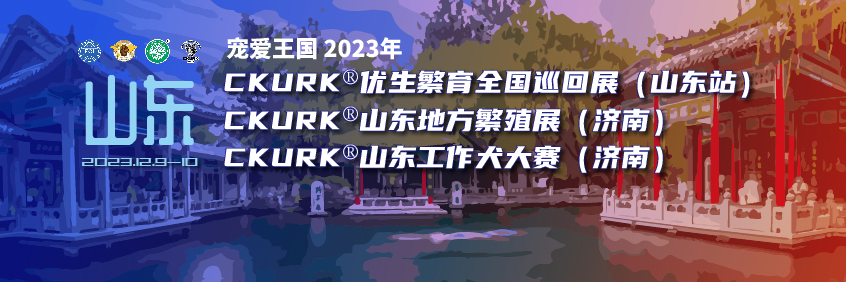 宠爱王国2023年CKURK®优生繁育全国巡回展（山东站）、山东地方繁殖展（济南）、工作犬大赛