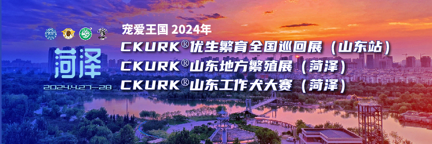 宠爱王国2024年CKURK®优生繁育全国巡回展（山东站）、山东地方繁殖展（菏泽）、山东工作犬大赛（菏泽）
