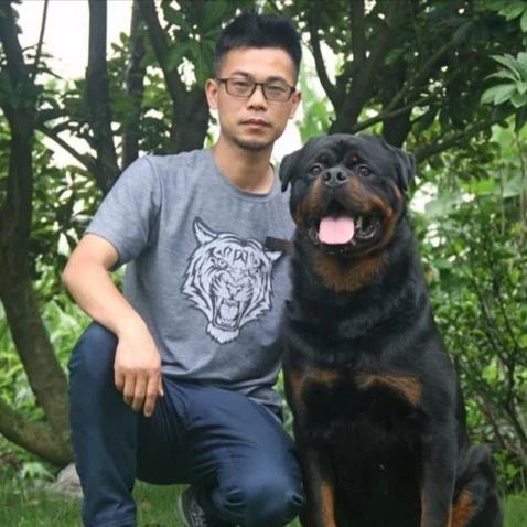 邱飞