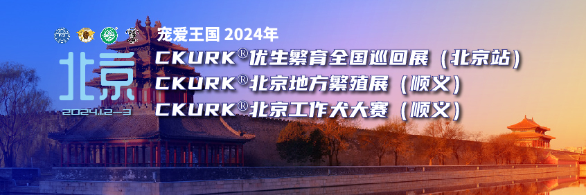 宠爱王国2024年CKURK®优生繁育全国巡回展（北京站）、北京地方繁殖展（顺义）、北京工作犬大赛（顺义）