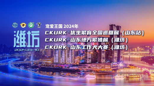 宠爱王国2024年CKURK®优生繁育全国巡回展（山东站）、山东地方繁殖展（潍坊）、山东工作犬大赛（潍坊）