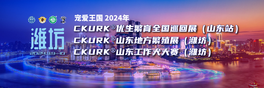 宠爱王国2024年CKURK®优生繁育全国巡回展（山东站）、山东地方繁殖展（潍坊）、山东工作犬大赛（潍坊）