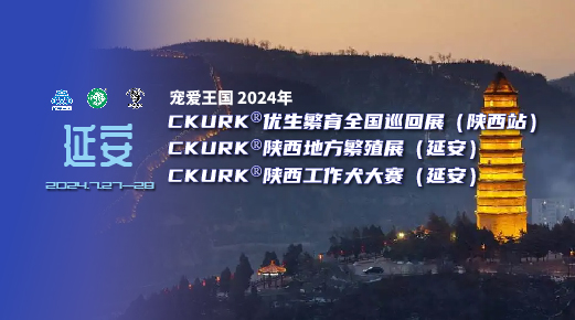 宠爱王国2024年CKURK®优生繁育全国巡回展（陕西站）、陕西地方繁殖展（延安）、指导手培训