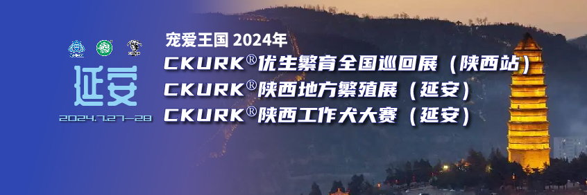 宠爱王国2024年CKURK®优生繁育全国巡回展（陕西站）、陕西地方繁殖展（延安）、指导手培训