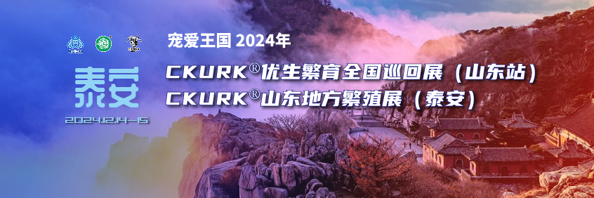 宠爱王国2024年CKURK®优生繁育全国巡回展（山东站）、山东地方繁殖展（泰安）