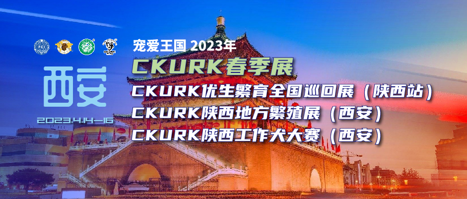 宠爱王国2023年CKURK春季展、优生繁育全国巡回展（陕西站）、陕西地方繁殖展（西安）、陕西工作大赛