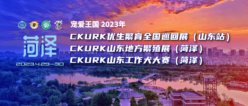 宠爱王国2023年CKURK优生繁育全国巡回展（山东站）、山东地方繁殖展（菏泽）、山东工作大赛