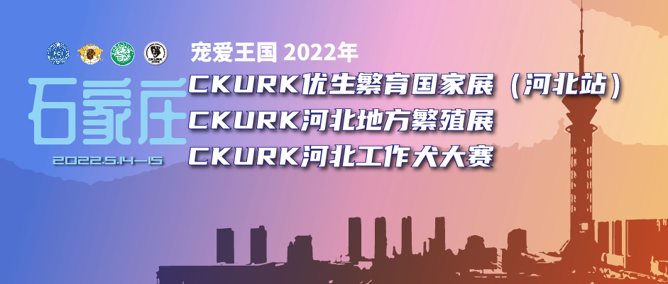 宠爱王国2022年CKURK优生繁育国家展（河北站）、河北地方繁殖展（石家庄）、 河北工作大赛