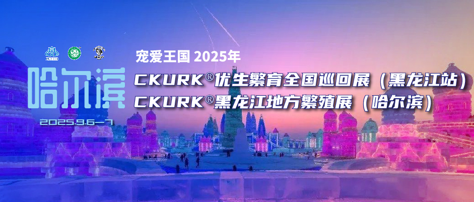 宠爱王国2025年CKURK®优生繁育全国巡回展（黑龙江站）、黑龙江地方繁殖展（哈尔滨）、指导手培训报名通