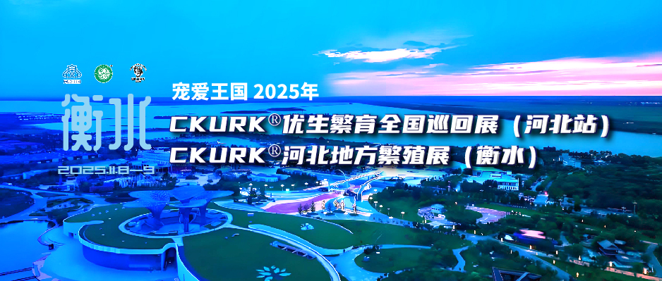 宠爱王国2025年CKURK®优生繁育全国巡回展（河北站）、河北地方繁殖展（衡水）报名通知