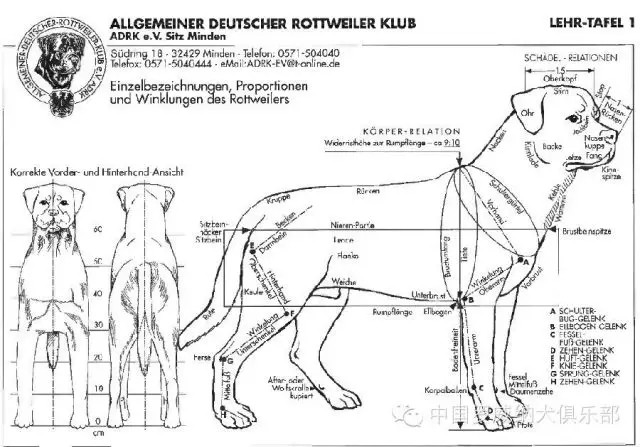 图片 1.jpg 图片 1.jpg