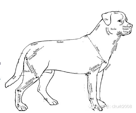 图片 5.jpg 图片 5.jpg