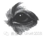 图片 10.jpg 图片 10.jpg