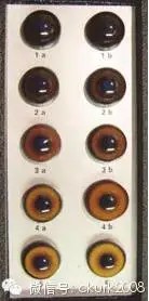 图片 11.jpg 图片 11.jpg