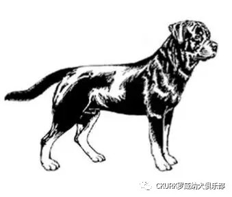 图片 12.jpg 图片 12.jpg