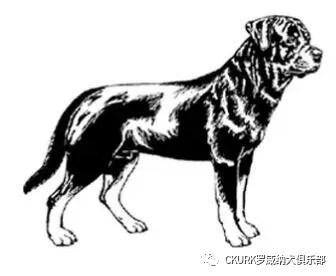 图片 14.jpg 图片 14.jpg