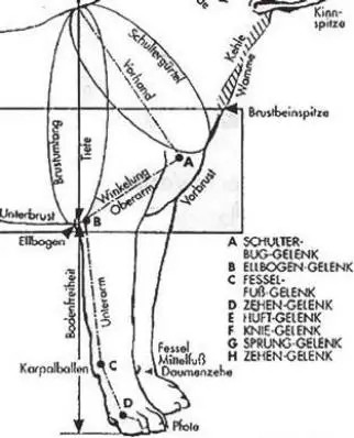 图片 15.jpg 图片 15.jpg