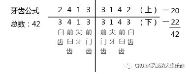图片 9.jpg 图片 9.jpg