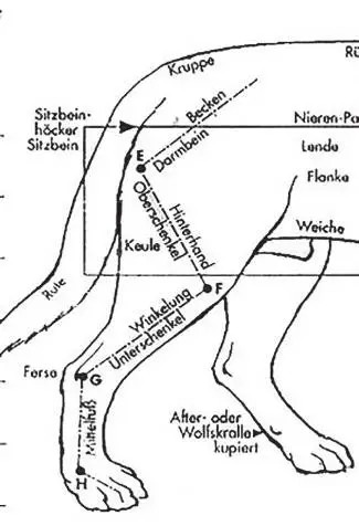 图片 17.jpg 图片 17.jpg