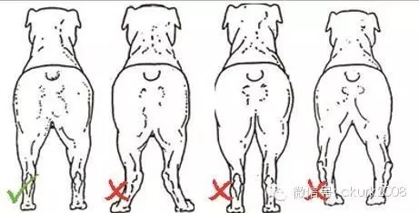 图片 18.jpg 图片 18.jpg