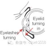 图片 20.jpg 图片 20.jpg