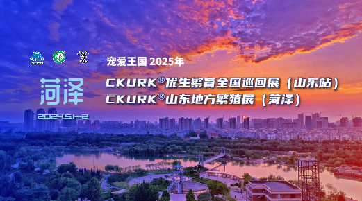 宠爱王国2025年CKURK®优生繁育全国巡回展(山东站)、山东地方繁殖展(菏泽