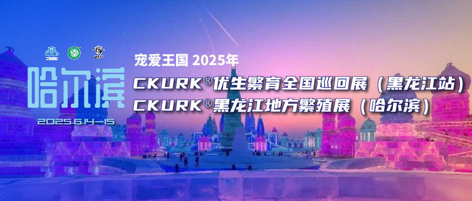 宠爱王国2025年CKURK®优生繁育全国巡回展(黑龙江站)、黑龙江地方繁殖展(哈尔滨)