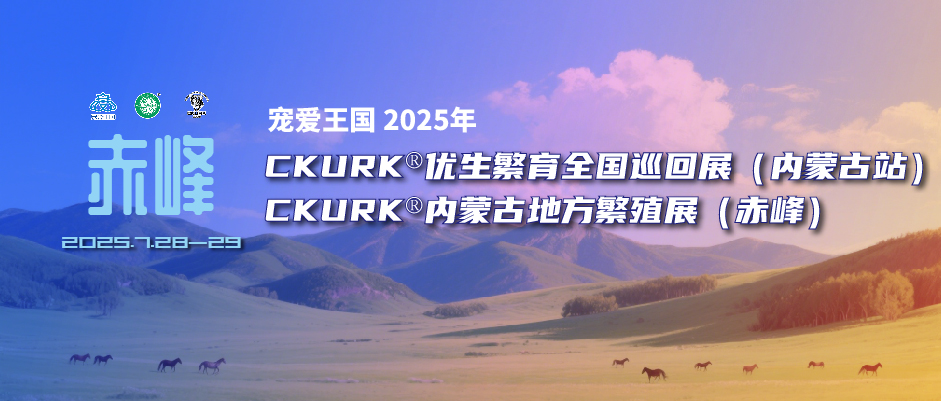 宠爱王国2025年CKURK®优生繁育全国巡回展(内蒙古站)、内蒙古地方繁殖展(赤峰