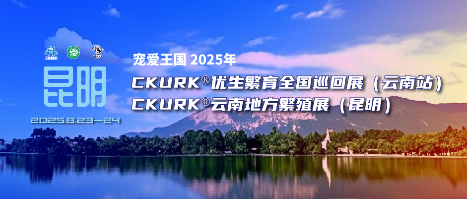 宠爱王国2025年CKURK®优生繁育全国巡回展(云南站)、云南地方繁殖展(昆明)