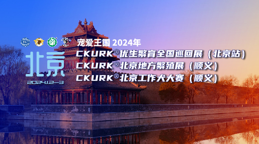 宠爱王国2024年CKURK®优生繁育全国巡回展(北京站)、北京地方繁殖展(顺义)、北京工作犬大赛(顺义)