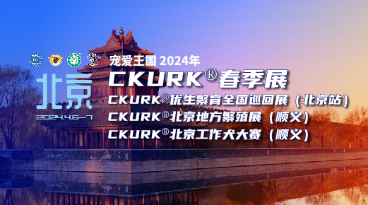 宠爱王国2024年CKURK®春季展、优生繁育全国巡回展(北京站)、北京地方繁殖展(顺义)、北京工作犬大赛(顺义)
