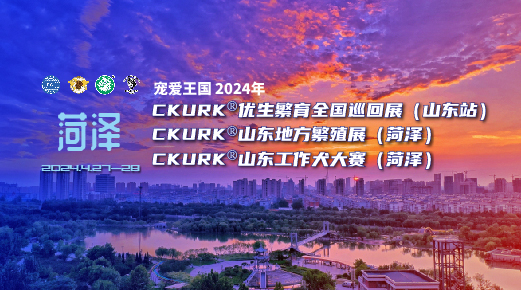 宠爱王国2024年CKURK®优生繁育全国巡回展(山东站)、山东地方繁殖展(菏泽