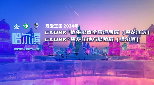 宠爱王国2024年CKURK®优生繁育全国巡回展(黑龙江站)、黑龙江地方繁殖展(哈尔滨)