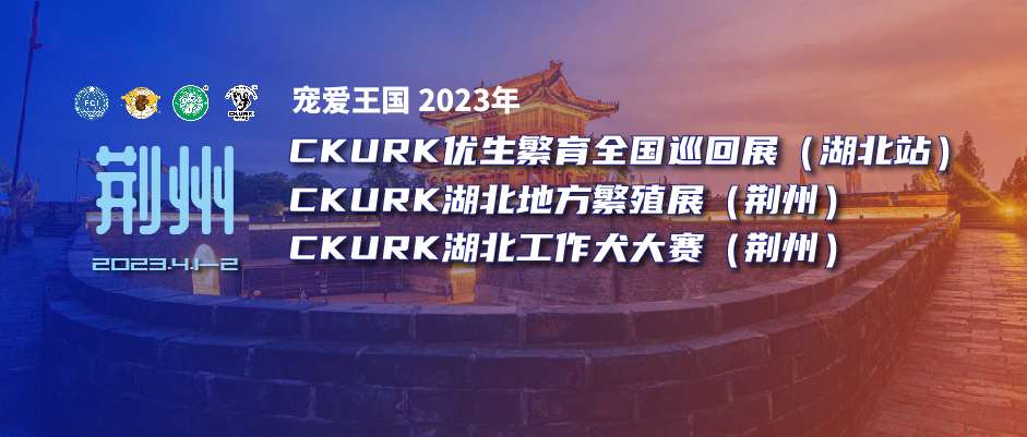 宠爱王国2023年CKURK优生繁育全国巡回展(湖北站)、湖北地方繁殖展(荆州)、湖北工作大赛